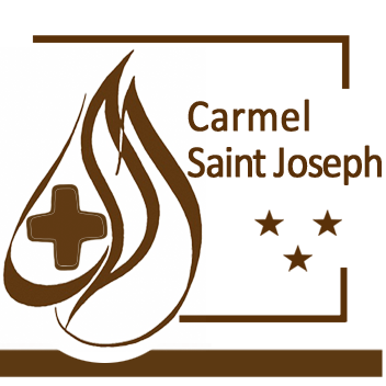 Logo Carmel Saint Josel 2016