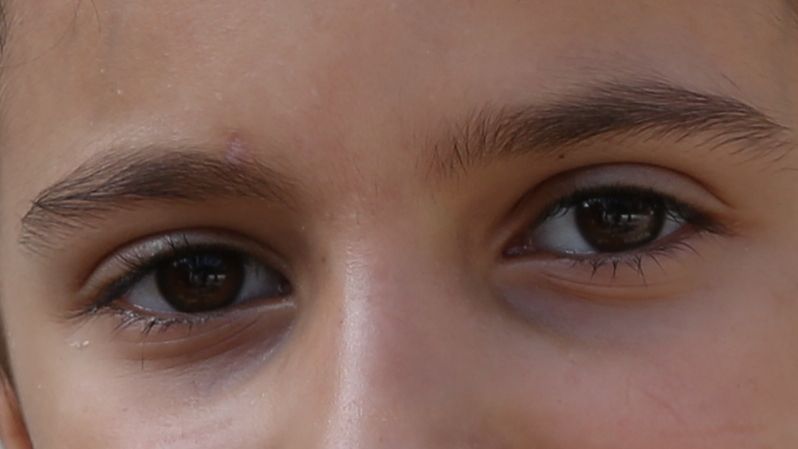 Migration and Civilisations: A Common Habitat?