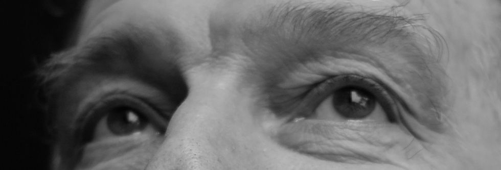 Josef Schovanec: Lessons of meaning