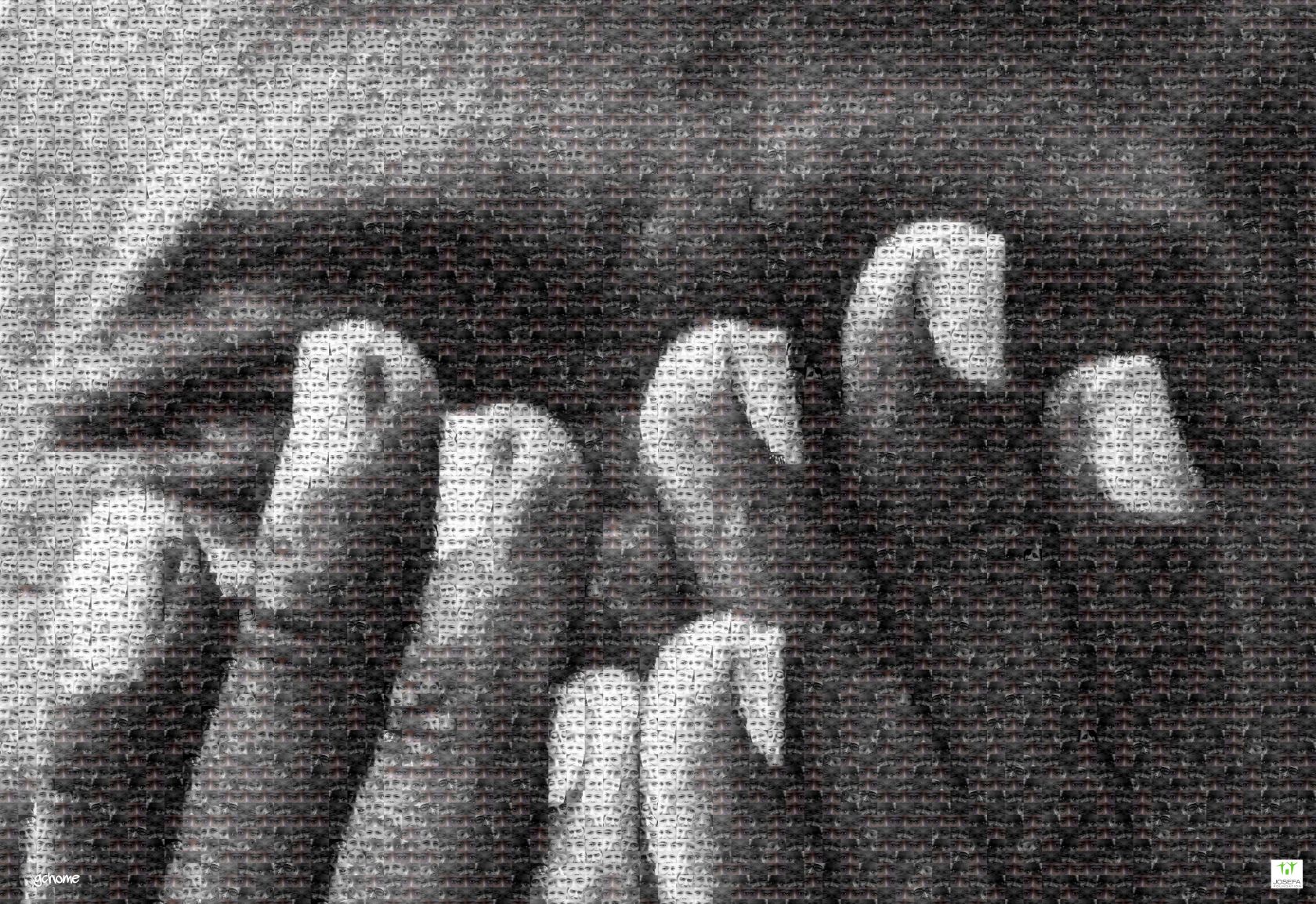 Team JOSEFA Stichting