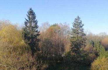 JOSEFA - Habitat - Ensemble, migrant