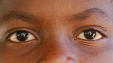 “The Carcass Remover”